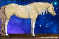 Horse Color:Chocolate Palomino Dun Tobiano 