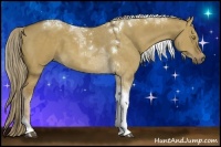 Horse Color:Chocolate Palomino Dun Tobiano 