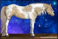 Horse Color:Chocolate Palomino Dun Tobiano 