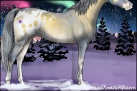 Horse Color:Watercolor Blue Onyx Appaloosa Rabicano 