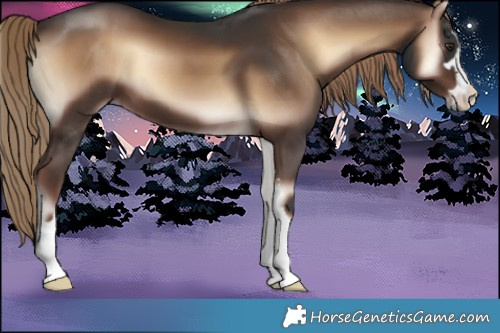 Horse Color:Liver Red Onyx 