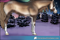 Horse Color:Liver Red Onyx 