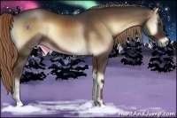 Horse Color:Liver Red Onyx 