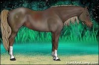 Horse Color:Liver Chestnut 