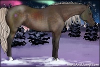 Horse Color:Silver Bay 