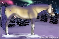 Horse Color:Watercolor Liver Red Onyx Sabino 