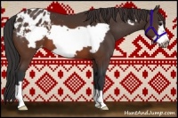 Horse Color:Brown Frame Appaloosa 