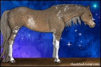 Horse Color:White Spotted Chocolate Palomino Tobiano Rabicano