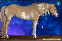 Horse Color:White Spotted Chocolate Palomino Rabicano