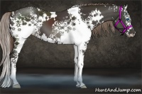 Horse Color:White Spotted Liver Chestnut Splash 