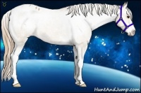 Horse Color:Red Dun Sabino Varnish