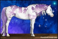 Horse Color:Watercolor White Spotted Bay Onyx Splash Rabicano 
