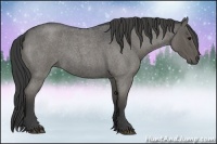 Horse Color:Smoky Blue Roan 