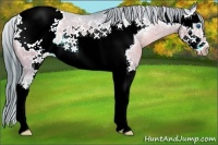 Horse Color:Watercolor Bay Splash Frame Snowcap 