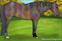 Horse Color:Nacre Brown 