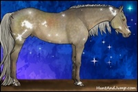 Horse Color:White Spotted Liver Chestnut Sabino 