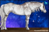 Horse Color:White Spotted Chocolate Silver Blue Onyx Chinchilla Ice Brindle