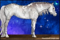 Horse Color:White Spotted Chocolate Silver Blue Onyx Chinchilla Ice Sabino Brindle 