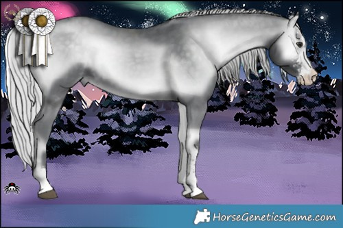 Horse Color:Silver Blue Onyx Chinchilla Sabino 