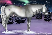 Horse Color:Silver Blue Onyx Chinchilla Sabino 