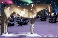 Horse Color:White Spotted Liver Red Onyx 