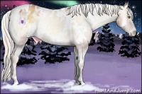 Horse Color:White Spotted Silver Classic Champagne Onyx Appaloosa 