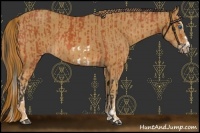 Horse Color:Bay Splash Frame  and Chestnut Splash Frame 