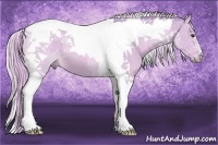 Horse Color:Watercolor Palomino Dun Tobiano 