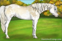 Horse Color:White Spotted Liver Red Onyx Pearl Splash 