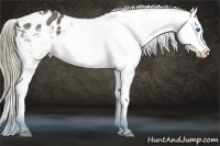 Horse Color:White Spotted Liver Chestnut Mushroom Splash Varnish
