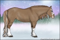 Horse Color:Liver Red Dun Sabino Splash Rabicano