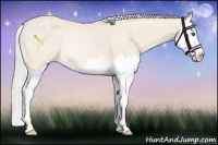 Horse Color:Silver Perlino Roan Splash Rabicano