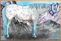 Horse Color:Watercolor Bay Appaloosa 