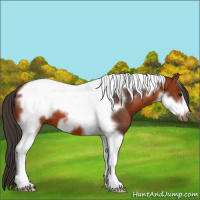 Horse Color:Bay Tobiano Frame