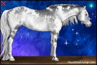 Horse Color:White Spotted Silver Blue Onyx Chinchilla 