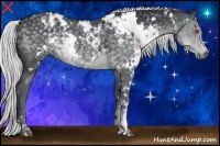 Horse Color:White Spotted Silver Black Chinchilla 