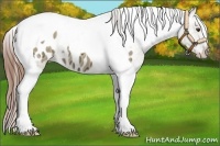 Horse Color:Red Dun Ice Tobiano Blanket 