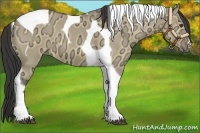 Horse Color:Buckskin Ice Dun Tobiano