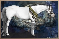 Horse Color:White Spotted Black Near Fewspot 
