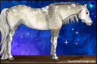 Horse Color:White Spotted Silver Smoky Blue Onyx Chinchilla Brindle