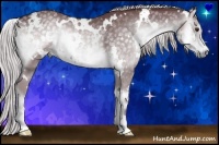 Horse Color:White Spotted Chocolate Silver Smoky Blue Onyx Chinchilla