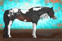 Horse Color:Brown Tobiano Frame Appaloosa