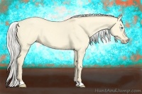 Horse Color:Silver Perlino Dun 