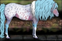 Horse Color:Watercolor Bay Tobiano Appaloosa
