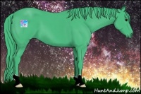 Horse Color:Watercolor Smoky Black 