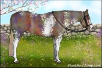 Horse Color:Nacre White Spotted Liver Chestnut 