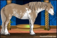 Horse Color:Liver Red Dun Sabino 