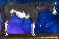 Horse Color:White Spotted Black Frame 