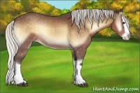 Horse Color:Silver Buckskin Onyx Splash 