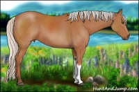 Horse Color:Silver Bay 